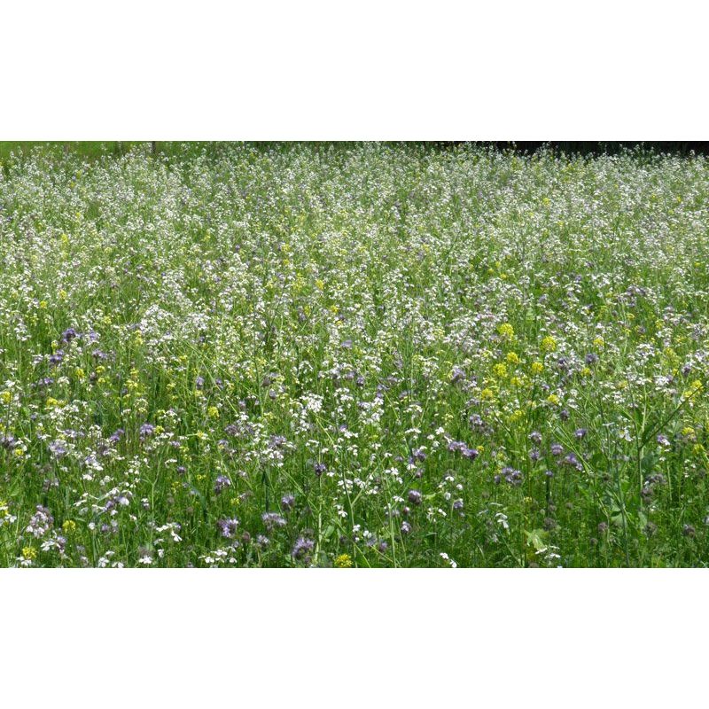 Bee mixture (1 year old) 1kg