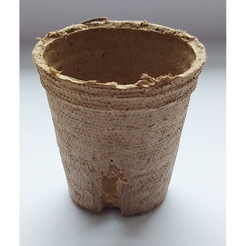 Peat pots 6cm